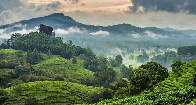 Coorg, Hill Station