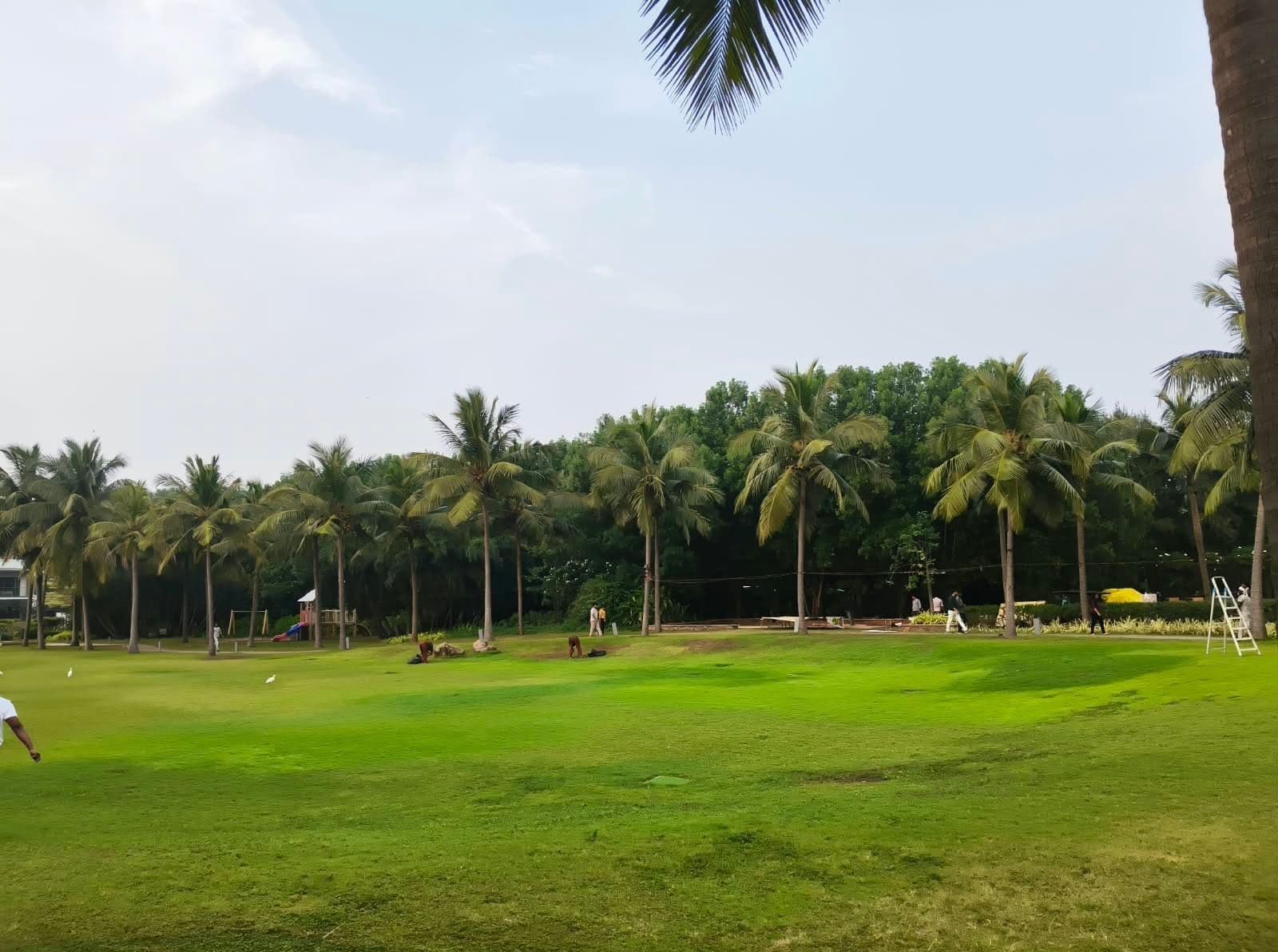 A palm-lined lawn at a coastal resort with a children's play area in the background
