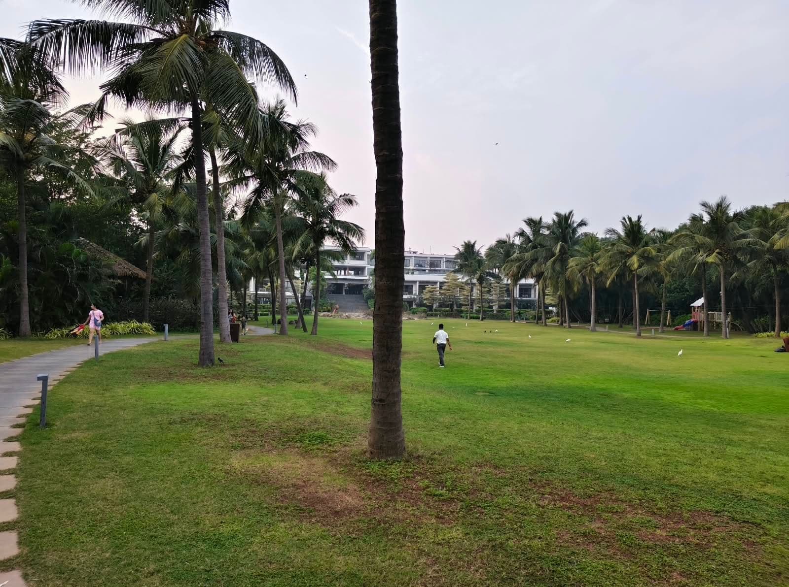 Guests walking across a palm-shaded lawn at a coastal resort near the sea