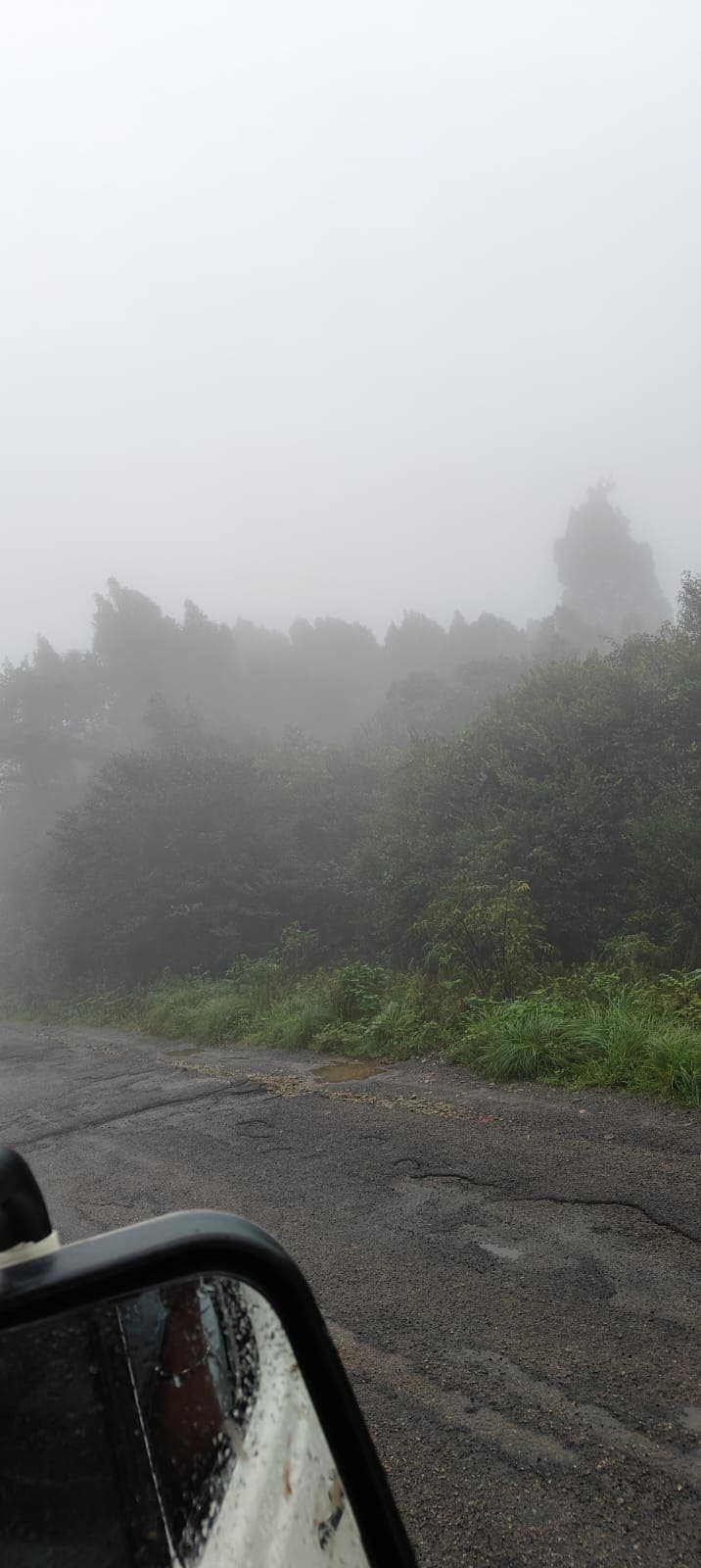 A tour vehicle driving along a misty hill road wrapped in fog