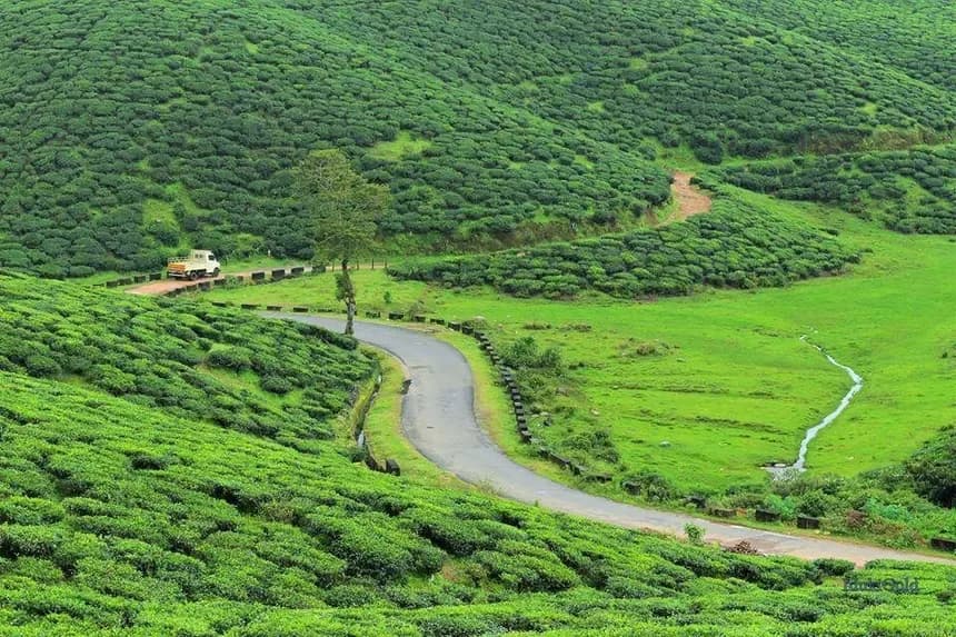 Munnar, Hill Station