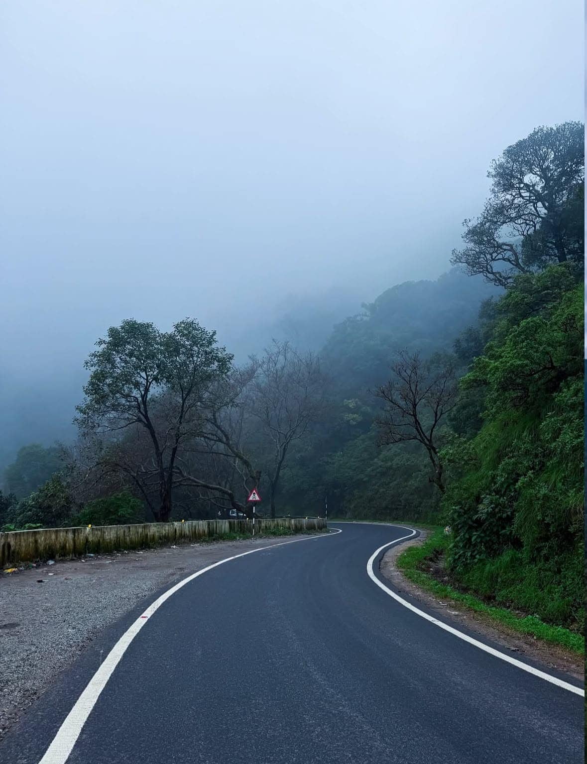 A winding hill road disappearing into thick fog, lined with trees
