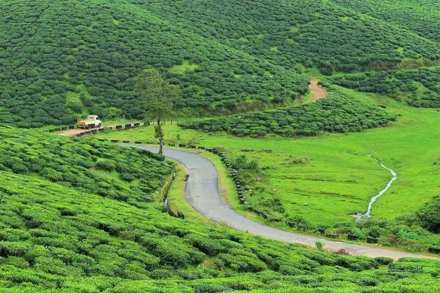 Munnar, Hill Station